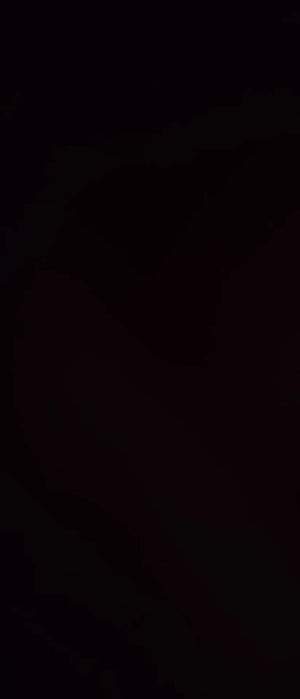 Aeb9da0a62fd04043a634cc0707ee01c0l.jpg